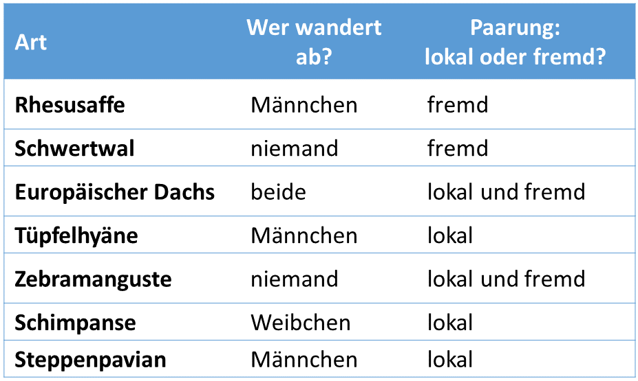 Table_Deutsch